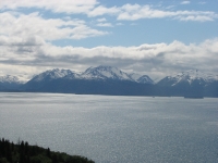 Views near Homer